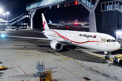 Air Niugini aircraft photo 6