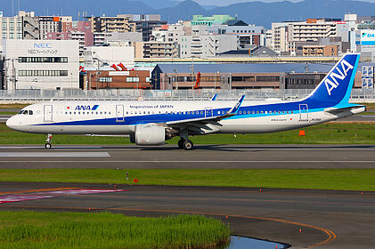 All Nippon Airways aircraft photo 6