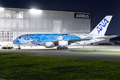 All Nippon Airways aircraft photo 7