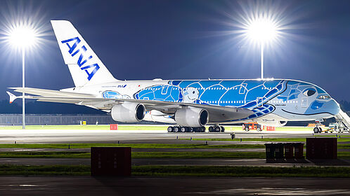 All Nippon Airways aircraft photo 8