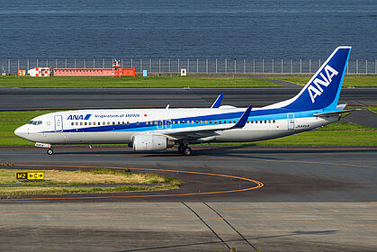 All Nippon Airways aircraft photo 10
