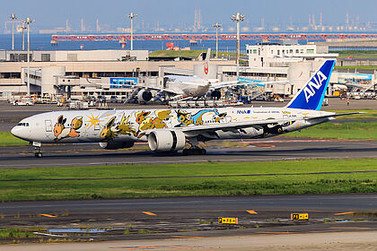 All Nippon Airways aircraft photo 17