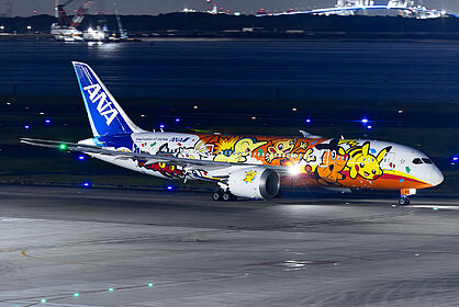All Nippon Airways aircraft photo 19