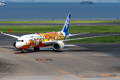 All Nippon Airways aircraft photo 20