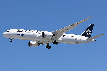 All Nippon Airways aircraft photo 21
