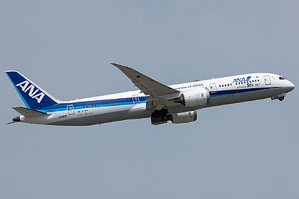 All Nippon Airways aircraft photo 22