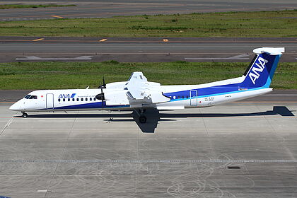 All Nippon Airways aircraft photo 25