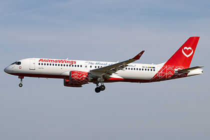 Animawings aircraft