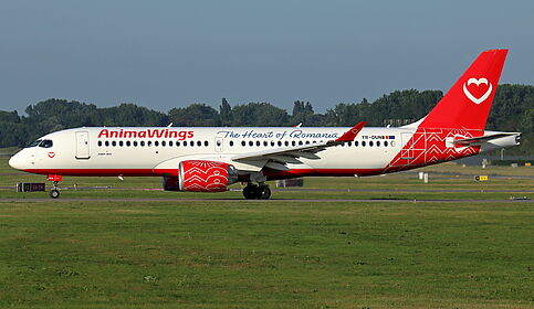 Animawings aircraft photo 2