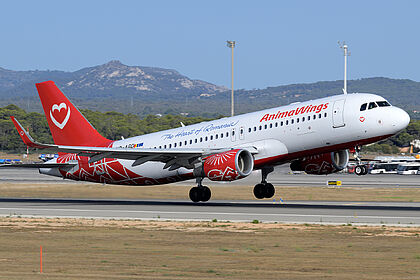 Animawings aircraft photo 3