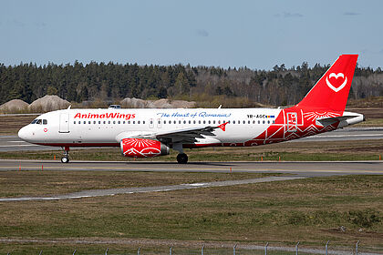 Animawings aircraft photo 4