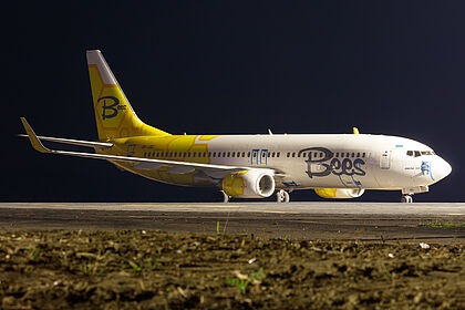 Bees Airline aircraft