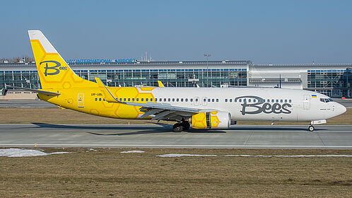 Bees Airline aircraft photo 2