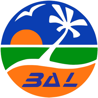 Belize Airways