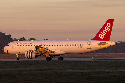 Bingo Airways aircraft photo 2