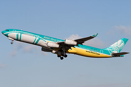 BWIA West Indies Airways aircraft photo 2
