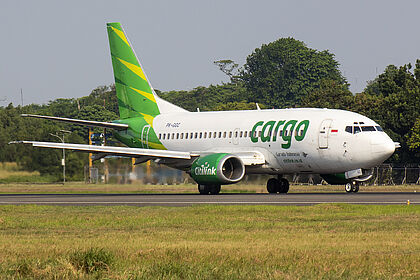 Citilink aircraft photo 8