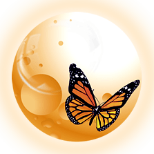 Danaus Airlines logo
