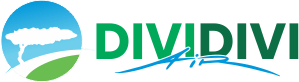 Divi Divi Air logo