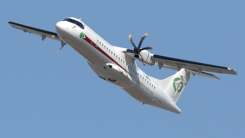 Domestic Airlines aircraft photo 2
