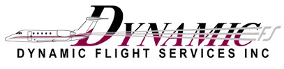 Dynamic Flight Services logo