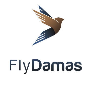 FlyDamas logo