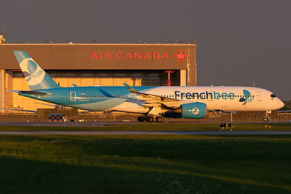 French bee aircraft