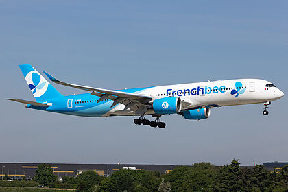 French bee aircraft photo 2