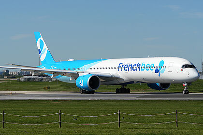 French bee aircraft photo 3