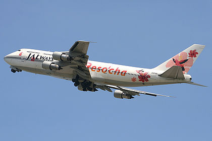 JALways aircraft photo 3