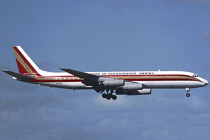 Kalitta - American International Airways aircraft photo 8
